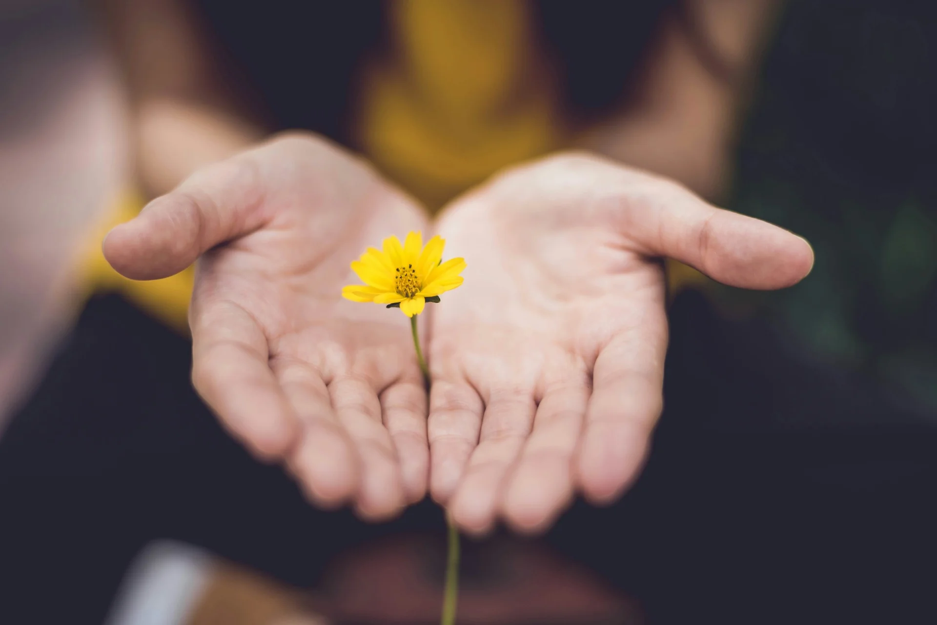 Rescue 101: Healing the Hidden Wounds